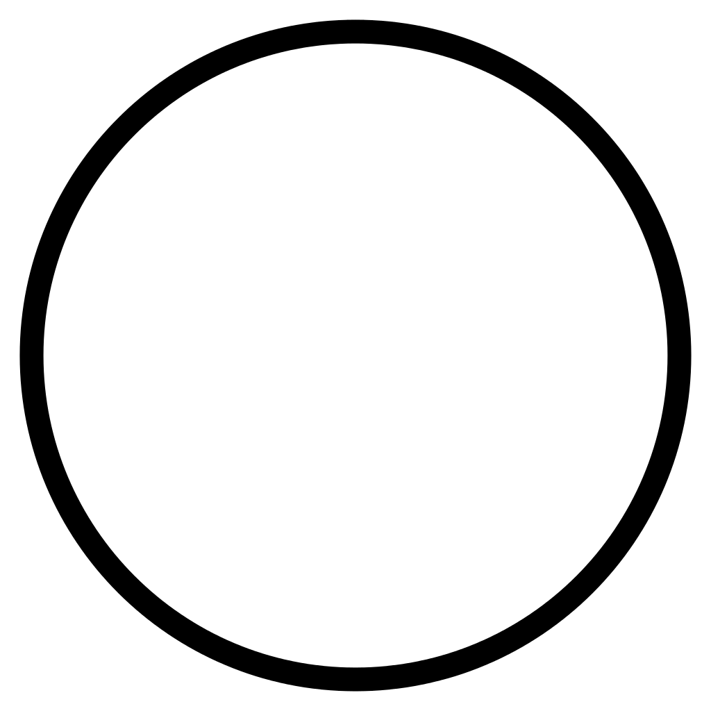 Circle stroke icon